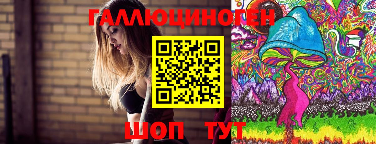 Псилоцибиновые грибы Cubensis  Галлюциногенные грибы MAGIC MUSHROOMS  Кимовск  Вход с VPN 