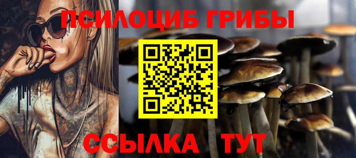 Псилоцибиновые грибы мухоморы Кимовск